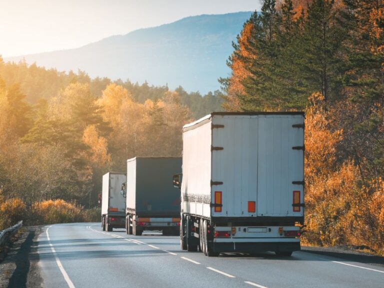 Read more about the article Frete de Transportadora: Compare Preços na Melhor Plataforma